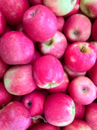 Pink Lady Apples