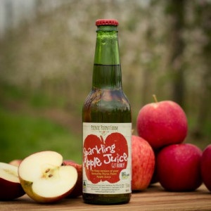 Sparkling Apple Juice (330ml)