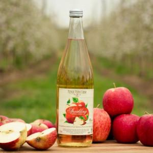 Sparkling Apple Juice (750ml)