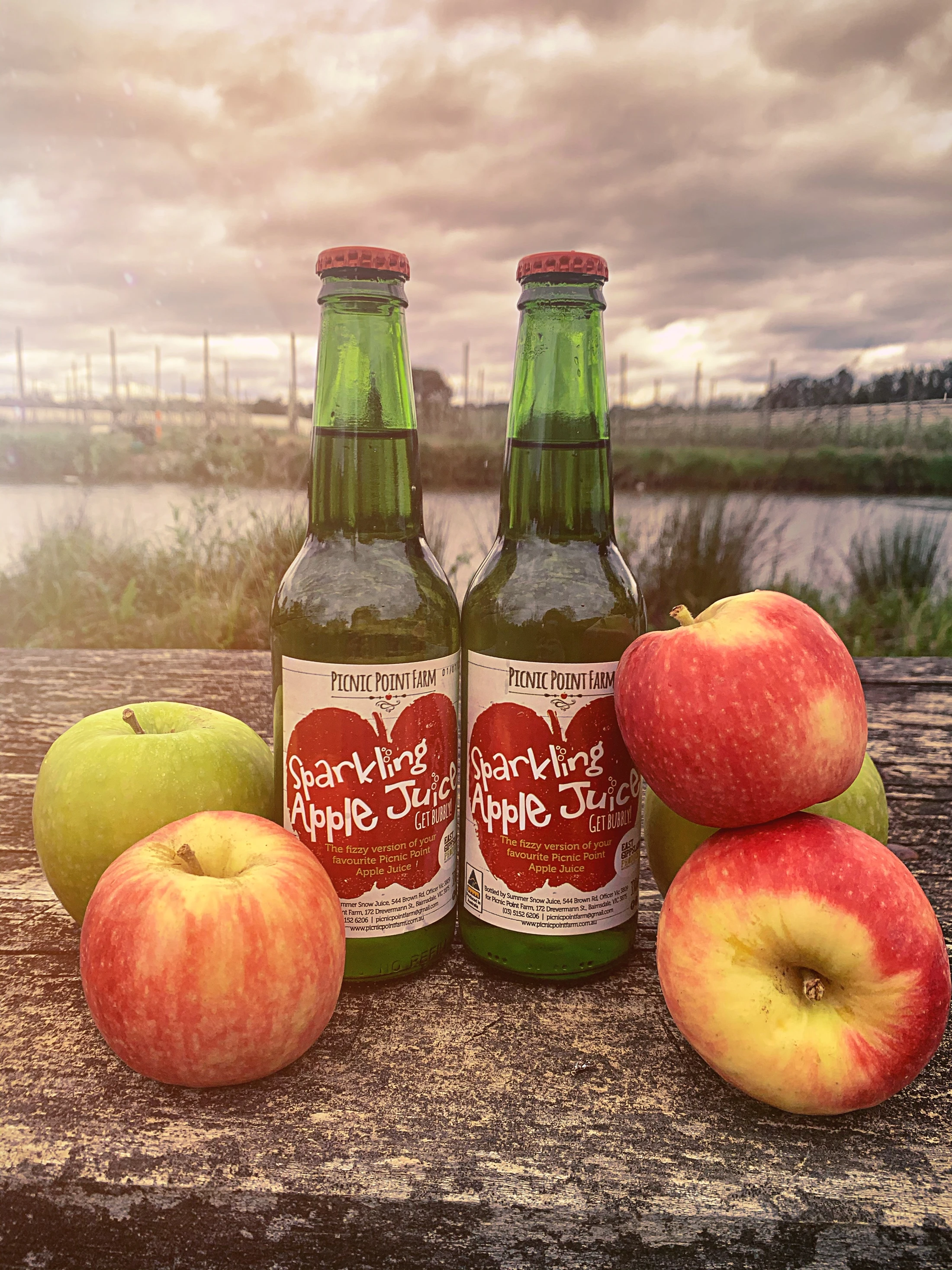 6 Pack Sparkling Apple Juice (Fundraising)