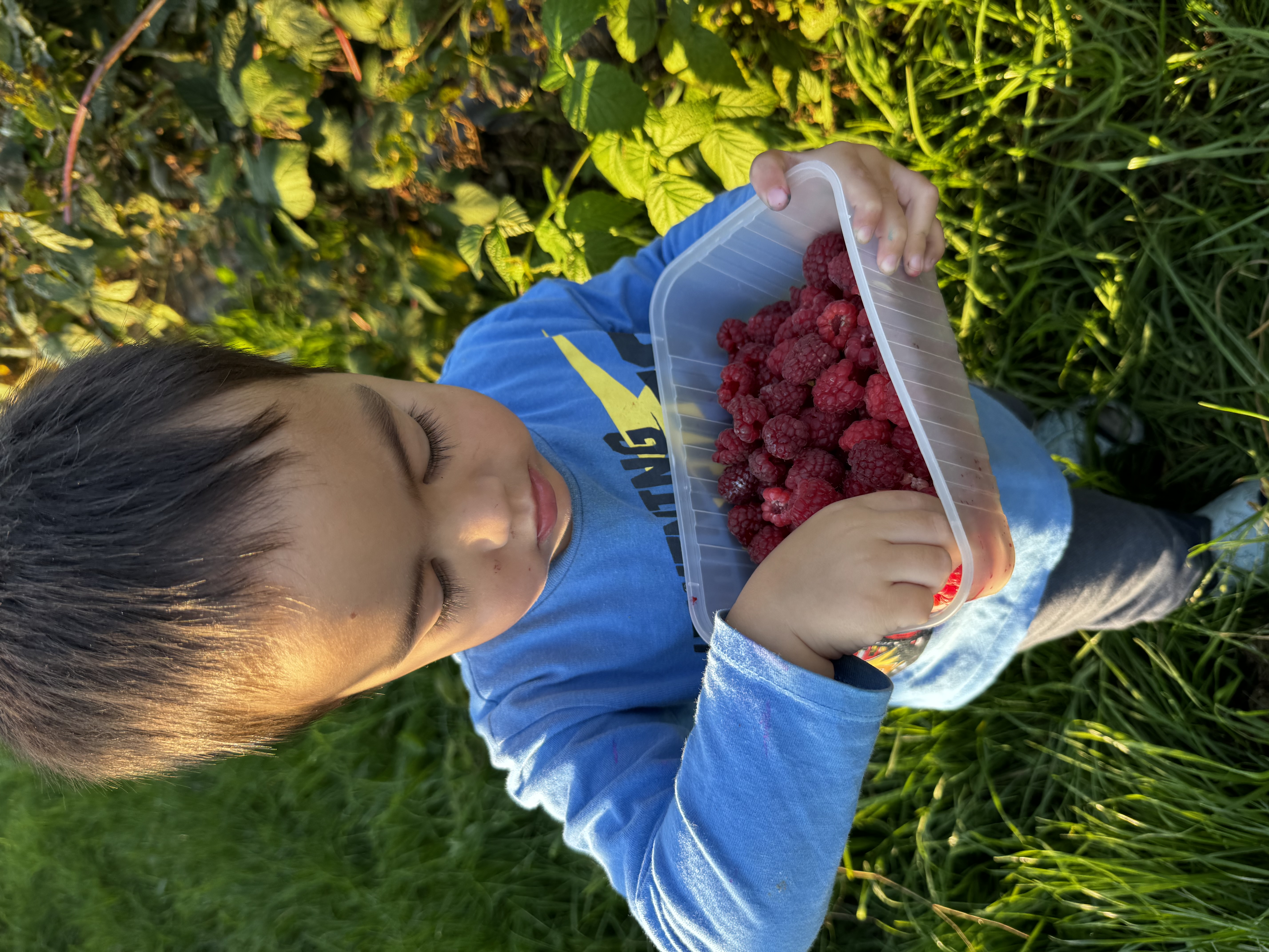 Pick Your Own Raspberries